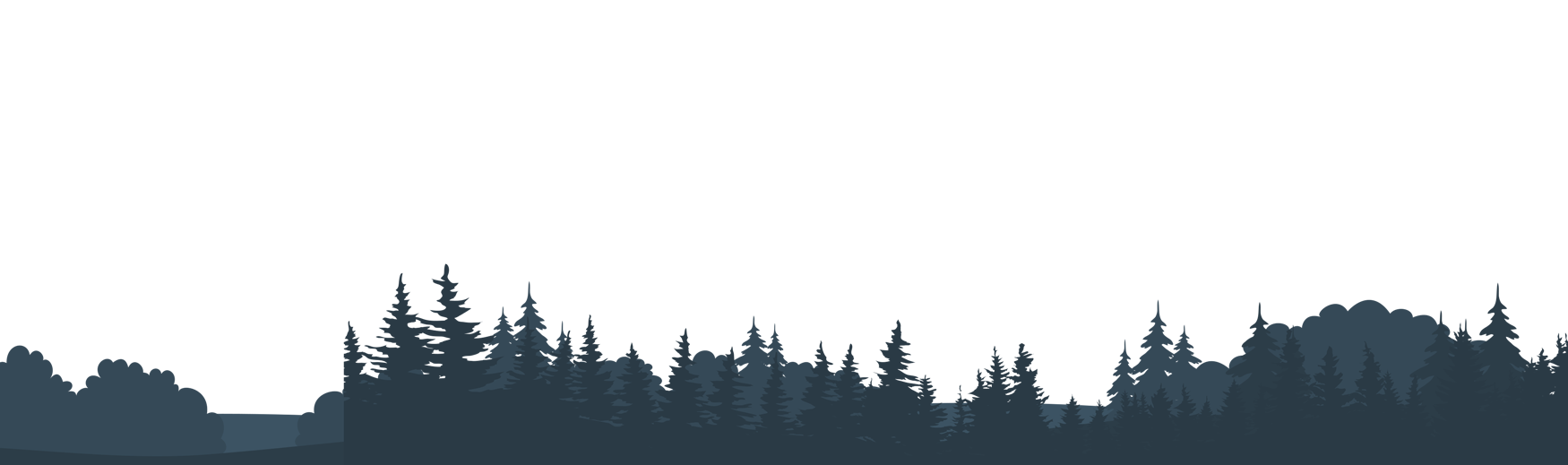 Alaskan Forest