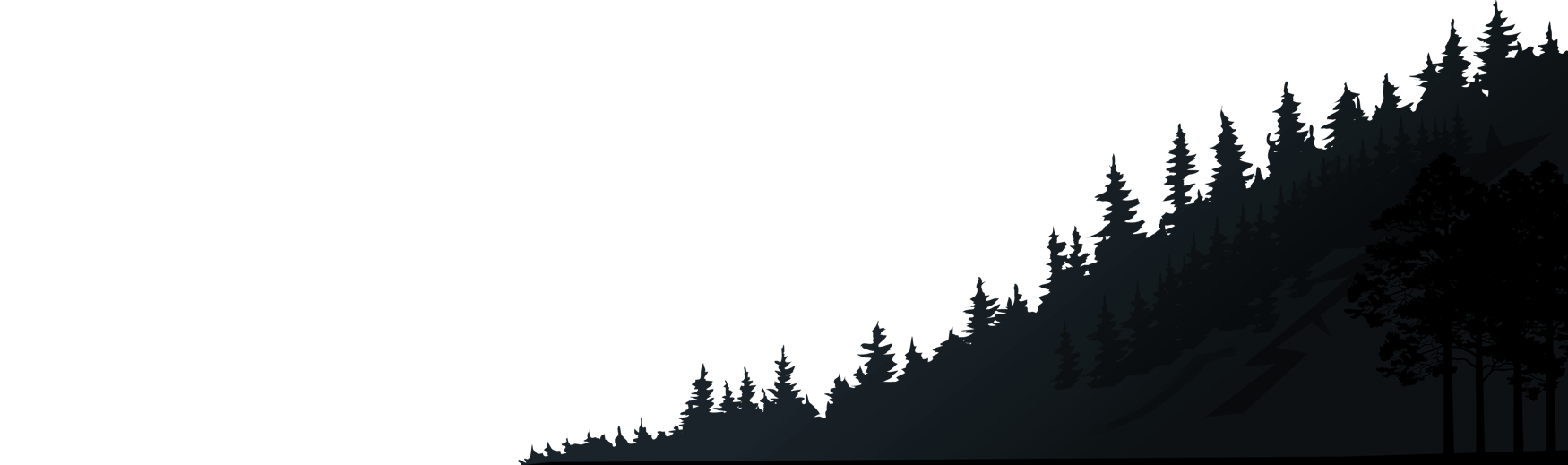 Alaskan Treeline